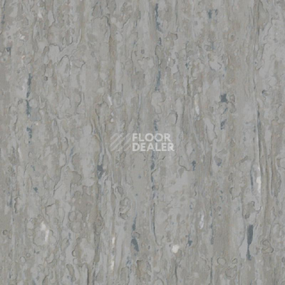 Линолеум Tarkett iq Optima GREY BEIGE 0897 фото 1 | FLOORDEALER